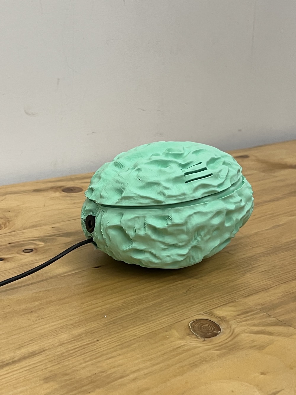 The mint-green 3D-printed brain-shaped enclosure holding the electronics, with a vent slot on top and a cable leaving the side.
